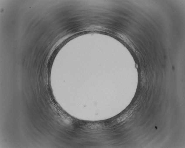 X0000062870931200602101648