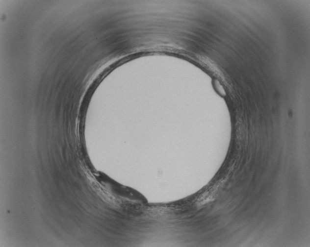 X0000062870932200602101648