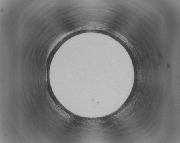 X0000062870934200602101648