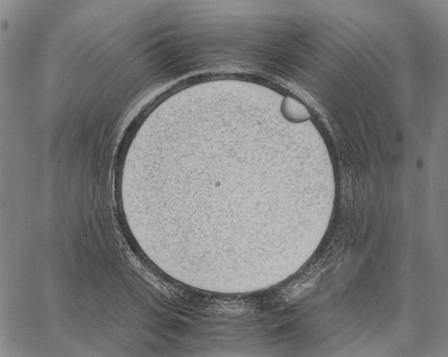 X0000062870935200602101648