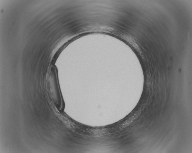 X0000062870936200602101648