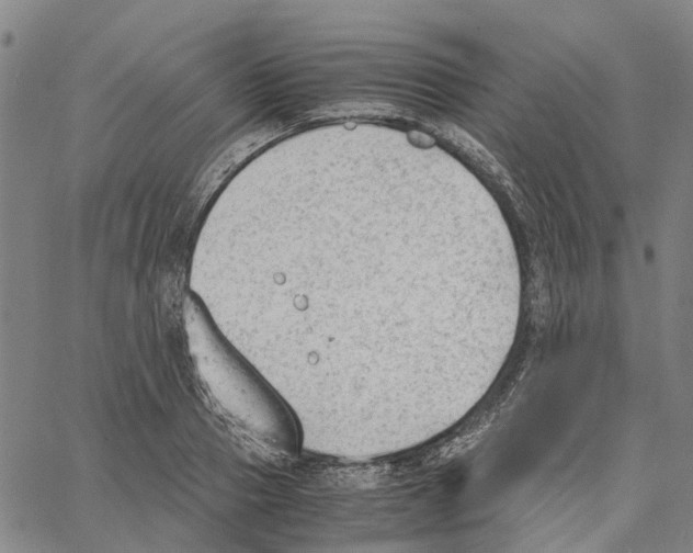 X0000062870937200602101648