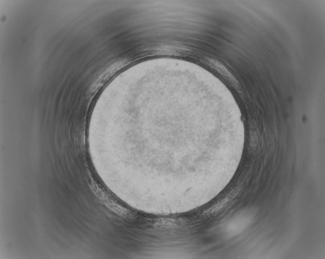 X0000062870938200602101648