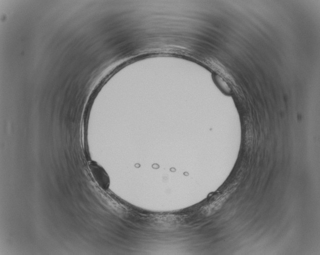 X0000062870940200602101648