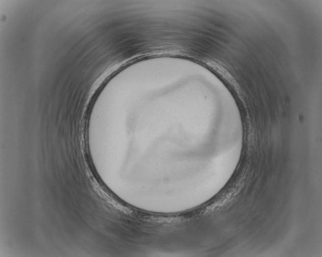 X0000062870941200602101648