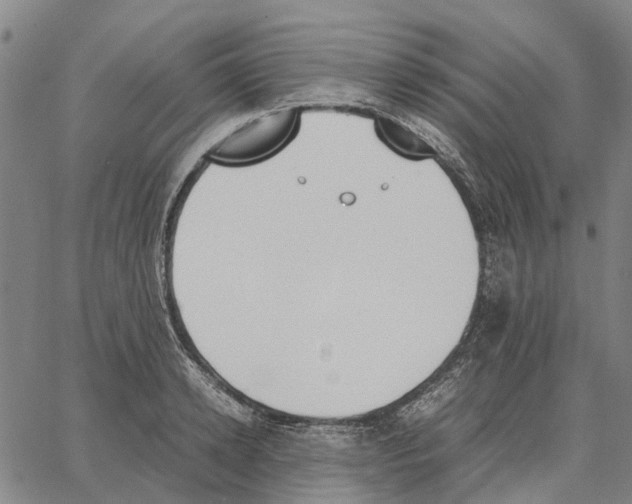 X0000062870942200602101648