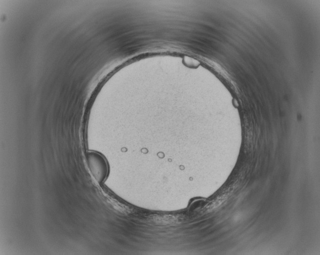 X0000062870943200602101648