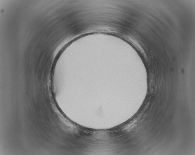 X0000062870944200602101648