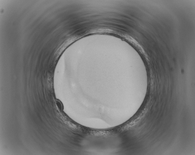 X0000062870945200602101648