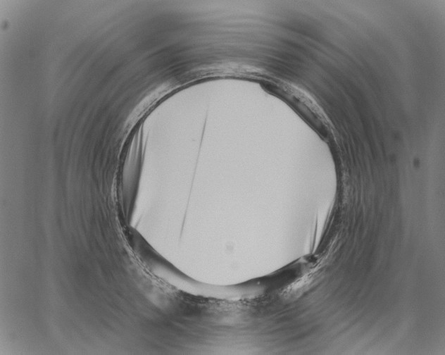 X0000062870946200602101648