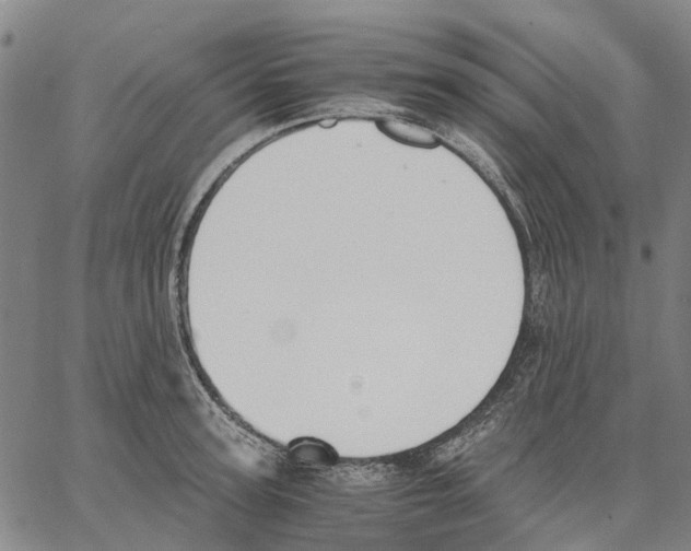 X0000062870947200602101648