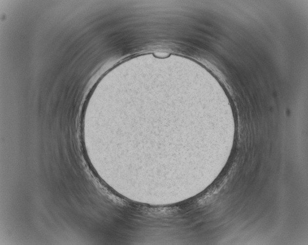 X0000062870949200602101648