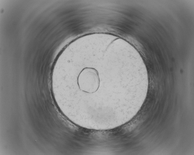 X0000062870950200602101648