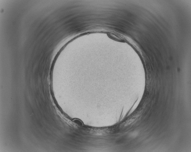 X0000062870951200602101648