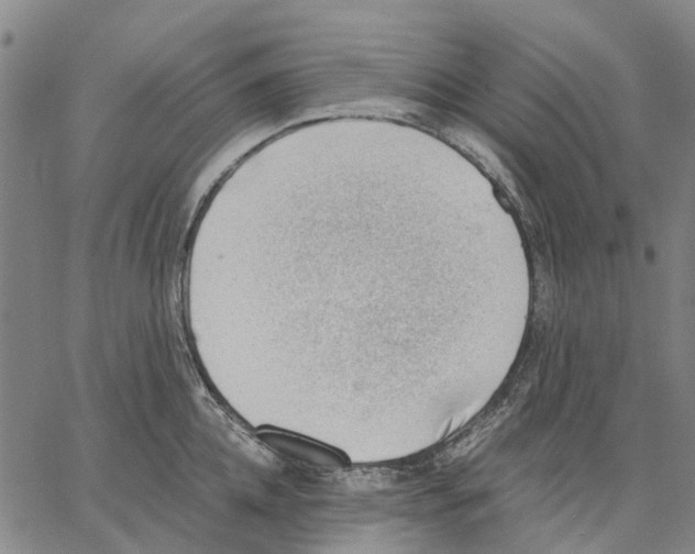 X0000062870952200602101648