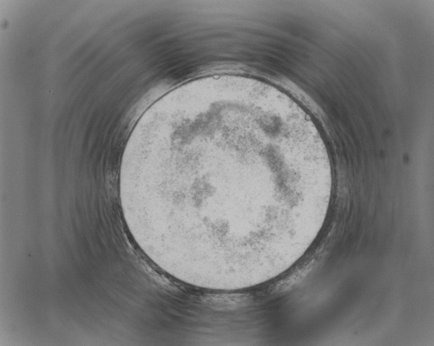 X0000062870953200602101648