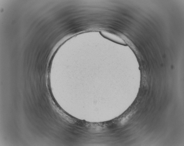 X0000062870955200602101648