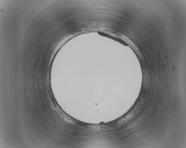 X0000062870956200602101648