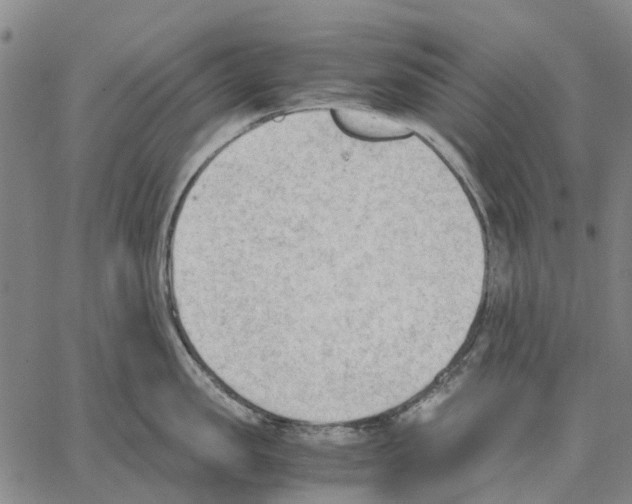 X0000062870957200602101648