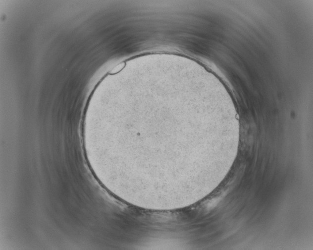 X0000062870959200602101648