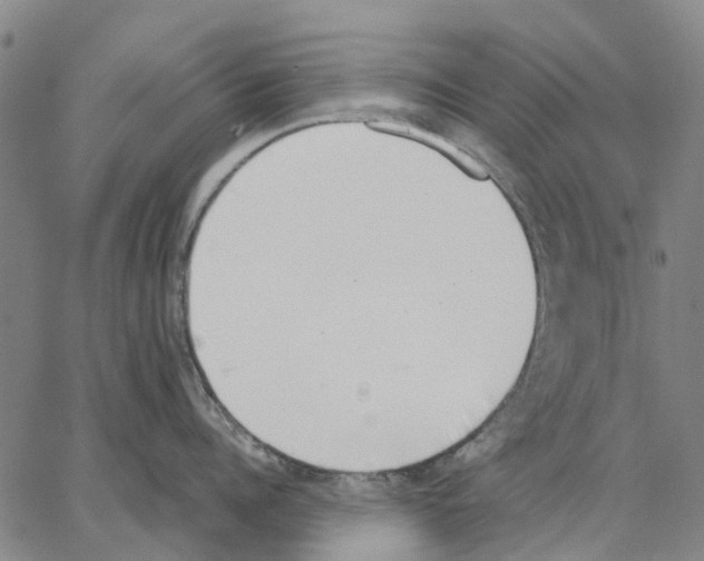 X0000062870960200602101648