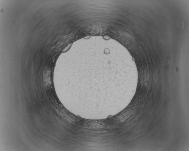 X0000062870962200602101647