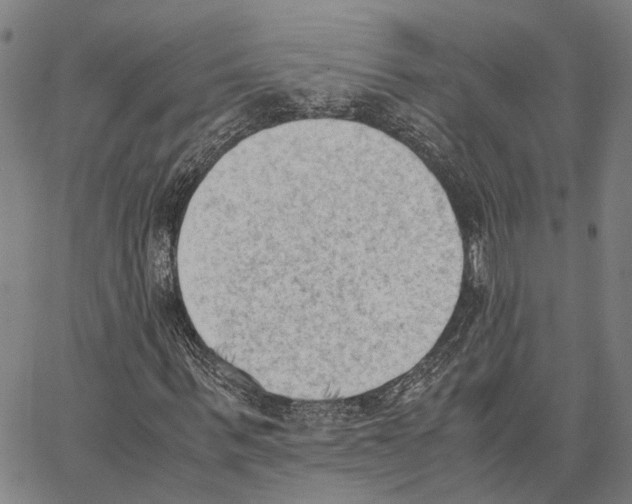 X0000062870963200602101647