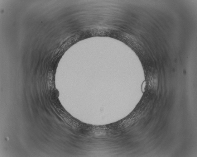 X0000062870964200602101647