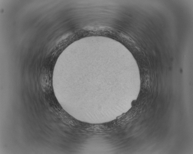 X0000062870966200602101647