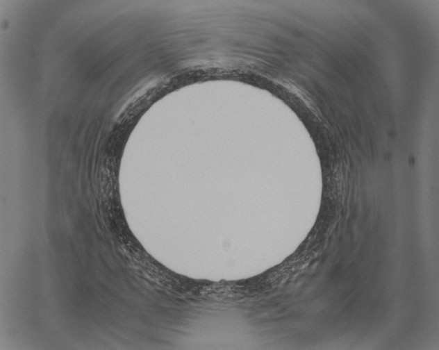 X0000062870967200602101647