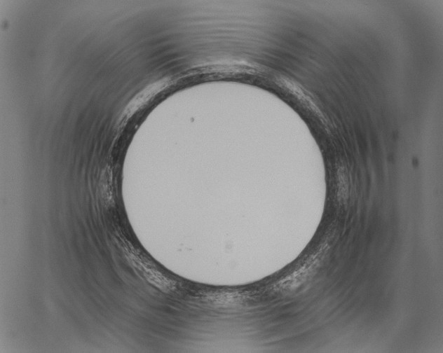 X0000062870970200602101647