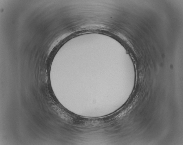 X0000062870973200602101647