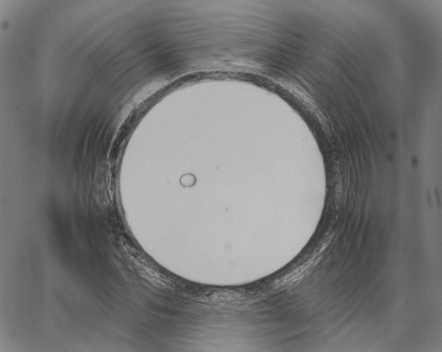 X0000062870974200602101647