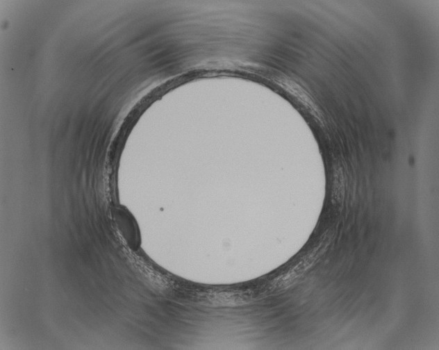 X0000062870976200602101647