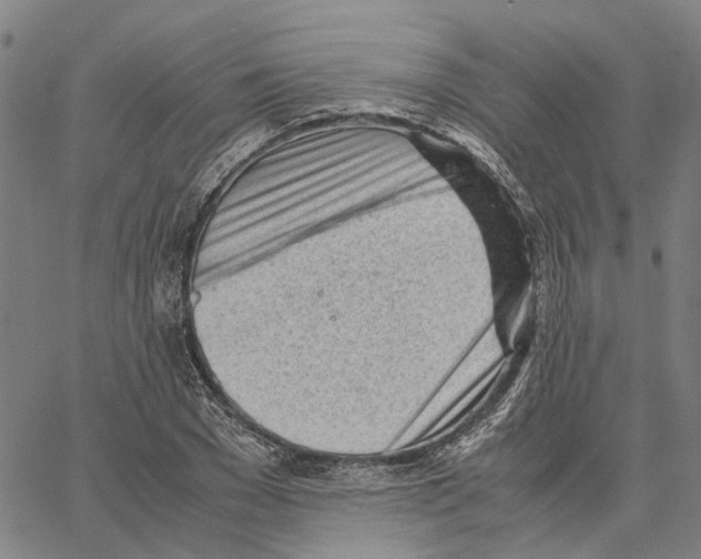 X0000062870977200602101647