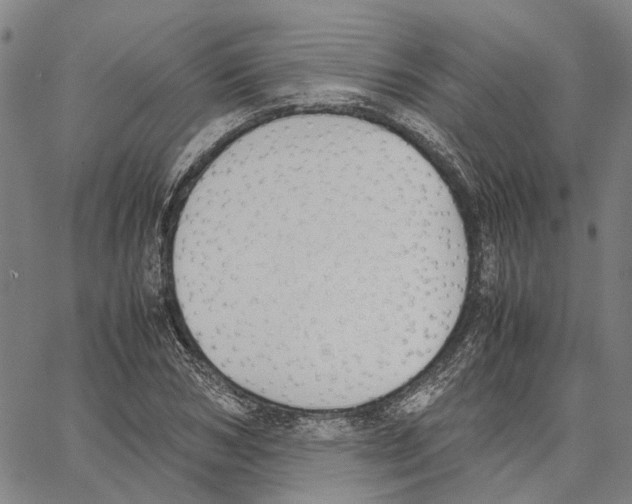 X0000062870978200602101647