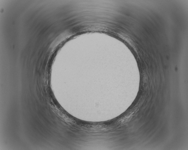 X0000062870979200602101647