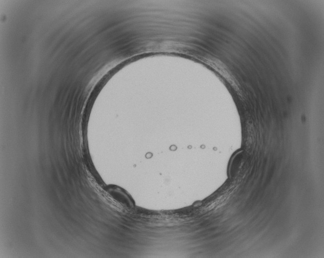 X0000062870980200602101647