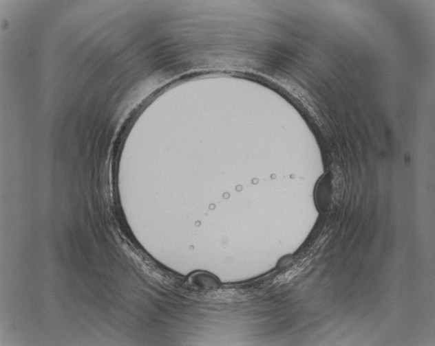 X0000062870982200602101647