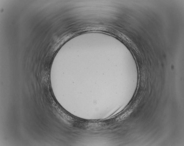 X0000062870985200602101647