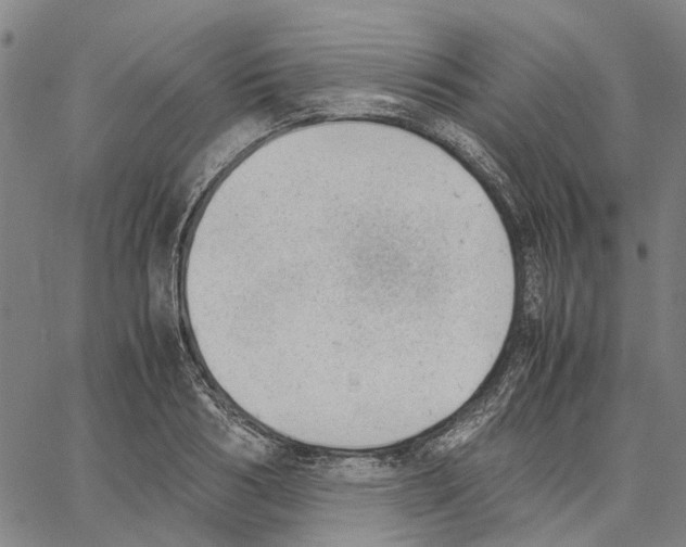 X0000062870986200602101647