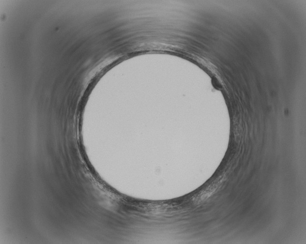 X0000062870987200602101647