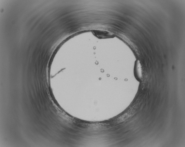 X0000062870988200602101647