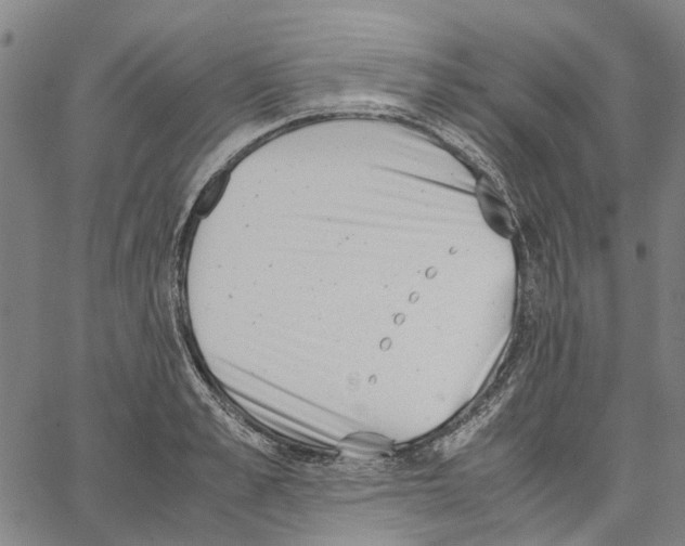 X0000062870989200602101647