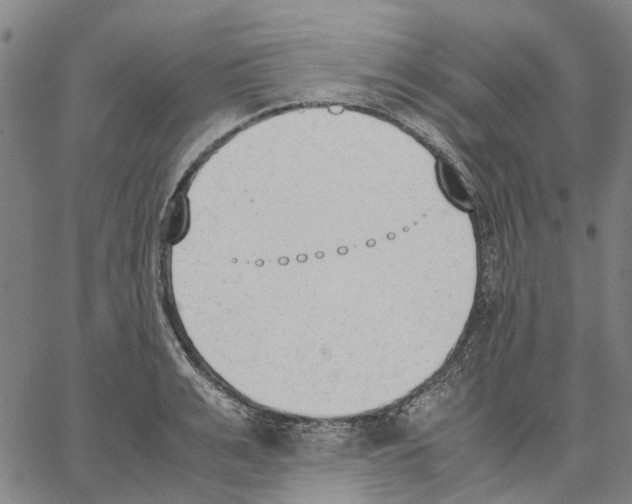 X0000062870991200602101647