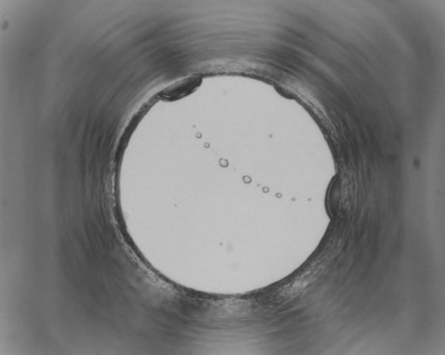 X0000062870992200602101647