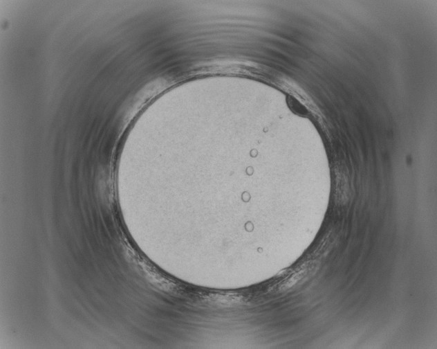 X0000062870994200602101647