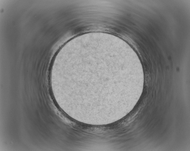 X0000062870995200602101647