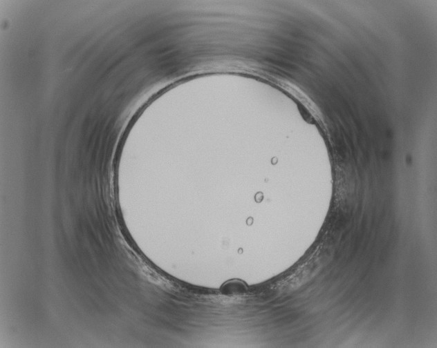 X0000062870996200602101647