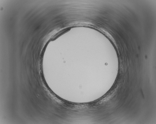 X0000062870997200602101647